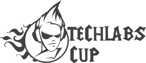 Киберспорт - Финал TECHLABS CUP RU 2012: Cybersport